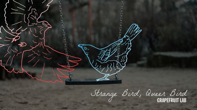 A red bird and blue bird drawn over the photo of an empty playground swing